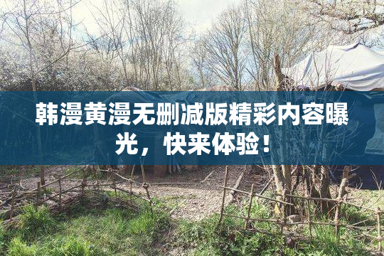 韩漫黄漫无删减版精彩内容曝光，快来体验！