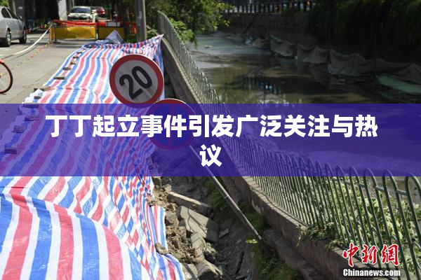 丁丁起立事件引发广泛关注与热议