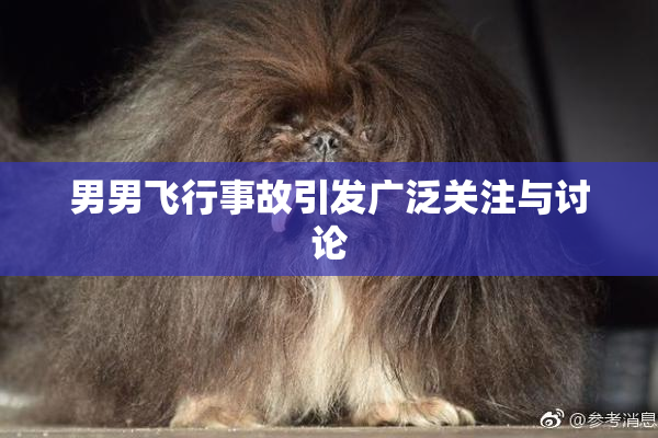 男男飞行事故引发广泛关注与讨论