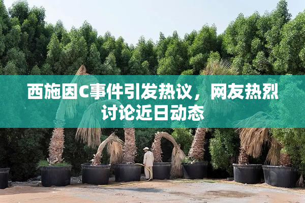 西施因C事件引发热议，网友热烈讨论近日动态