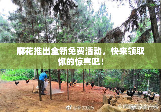 麻花推出全新免费活动，快来领取你的惊喜吧！