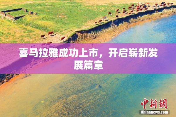 喜马拉雅成功上市，开启崭新发展篇章