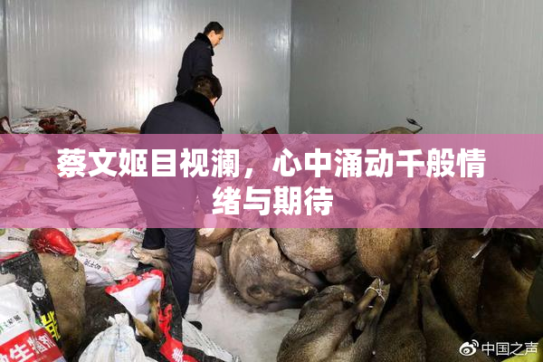 蔡文姬目视澜，心中涌动千般情绪与期待