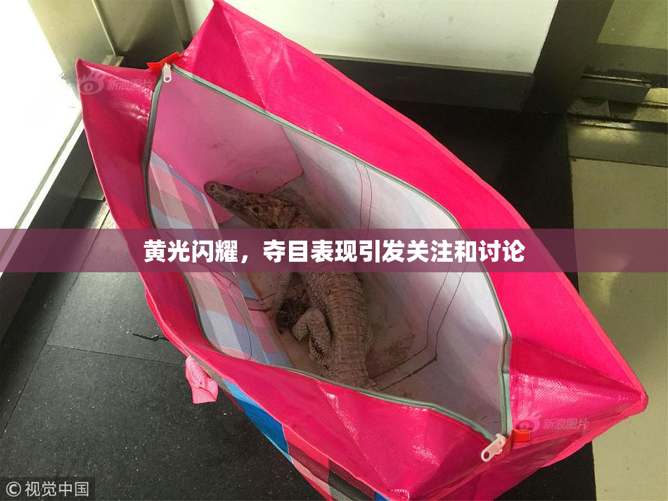 黄光闪耀，夺目表现引发关注和讨论