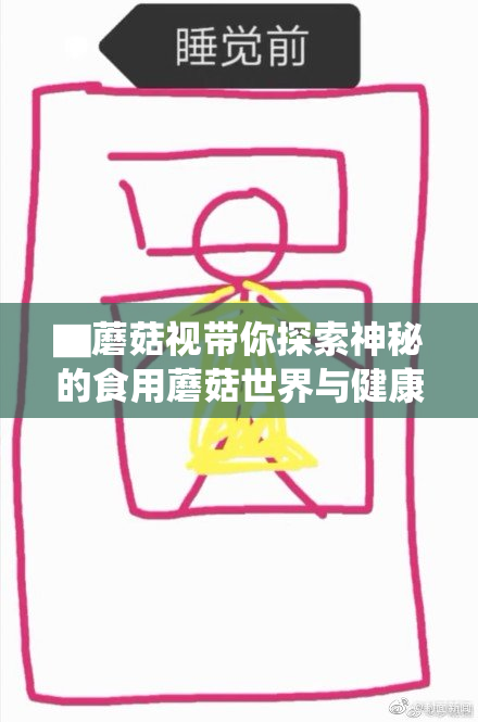 ▇蘑菇视带你探索神秘的食用蘑菇世界与健康价值