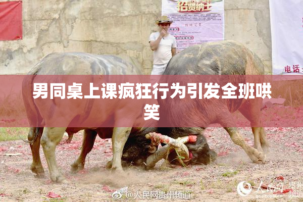 男同桌上课疯狂行为引发全班哄笑