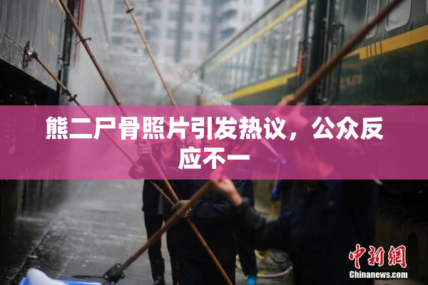 熊二尸骨照片引发热议，公众反应不一