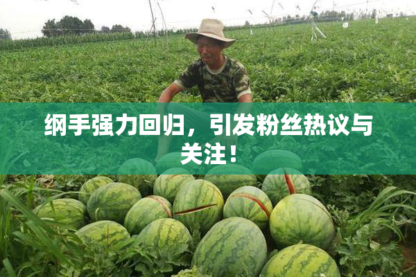 纲手强力回归，引发粉丝热议与关注！