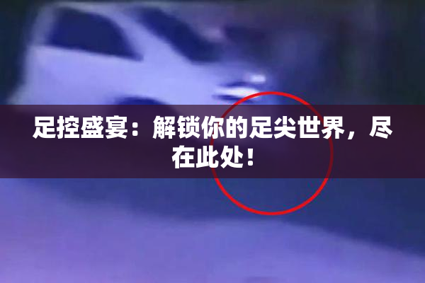 足控盛宴：解锁你的足尖世界，尽在此处！