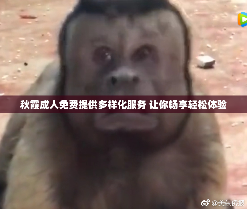 秋霞成人免费提供多样化服务 让你畅享轻松体验