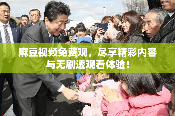 麻豆视频免费观，尽享精彩内容与无剧透观看体验！