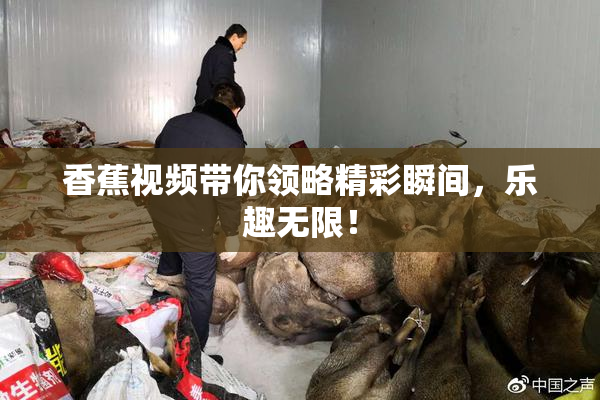 香蕉视频带你领略精彩瞬间，乐趣无限！