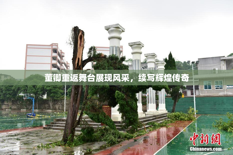 董卿重返舞台展现风采，续写辉煌传奇