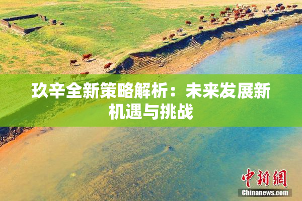 玖辛全新策略解析：未来发展新机遇与挑战