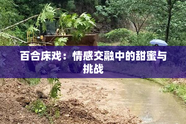百合床戏：情感交融中的甜蜜与挑战