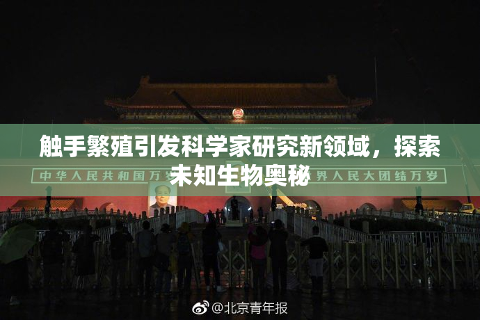 触手繁殖引发科学家研究新领域，探索未知生物奥秘