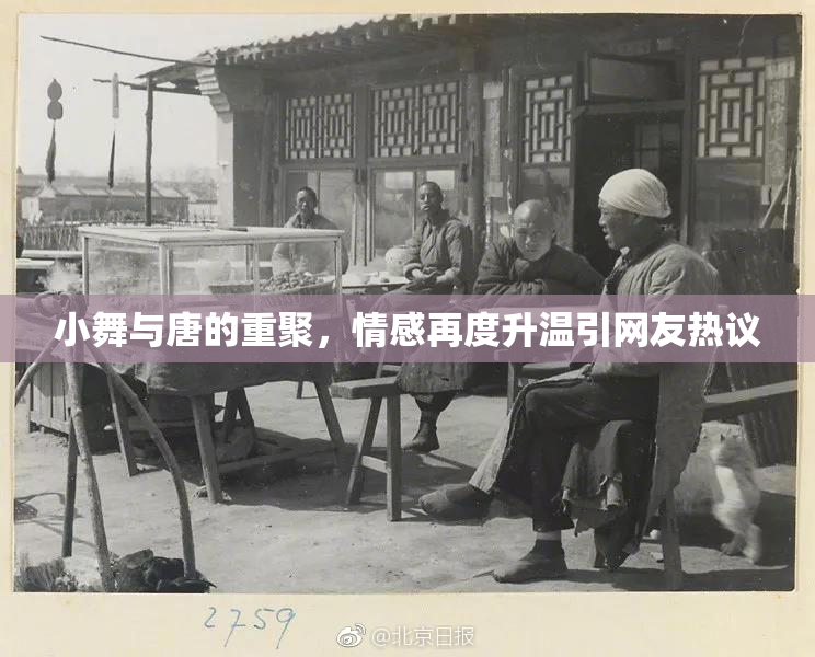 小舞与唐的重聚，情感再度升温引网友热议