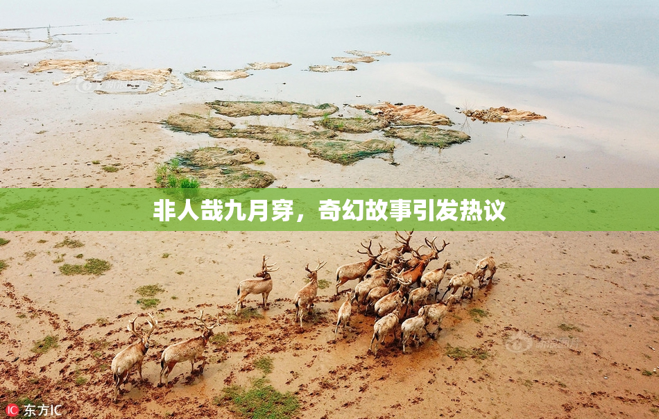 非人哉九月穿，奇幻故事引发热议