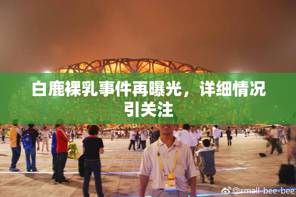白鹿裸乳事件再曝光，详细情况引关注