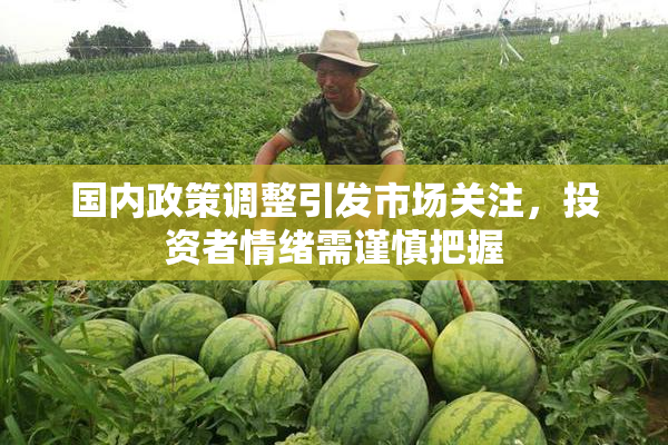国内政策调整引发市场关注，投资者情绪需谨慎把握
