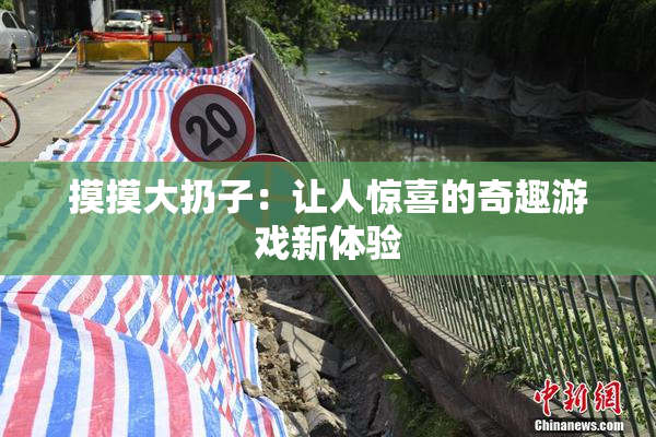摸摸大扔子：让人惊喜的奇趣游戏新体验