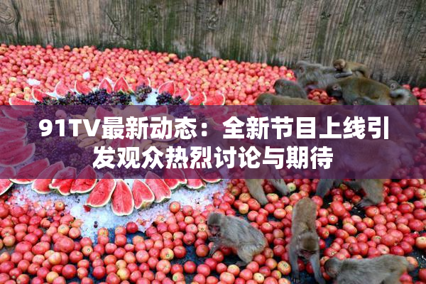 91TV最新动态：全新节目上线引发观众热烈讨论与期待