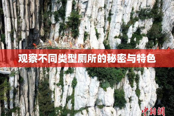 观察不同类型厕所的秘密与特色
