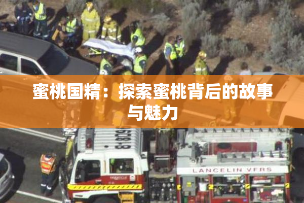 蜜桃国精：探索蜜桃背后的故事与魅力