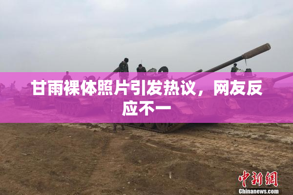 甘雨裸体照片引发热议，网友反应不一