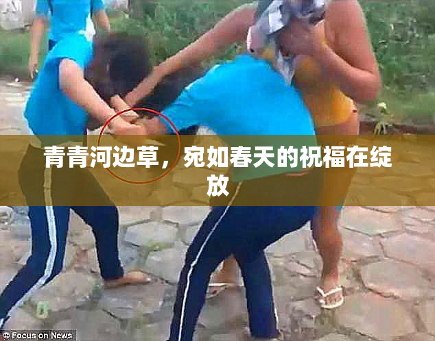 青青河边草，宛如春天的祝福在绽放