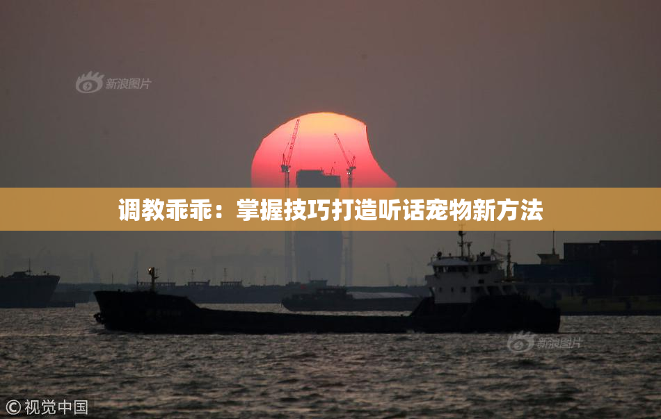 调教乖乖：掌握技巧打造听话宠物新方法