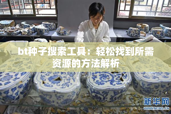 bt种子搜索工具：轻松找到所需资源的方法解析