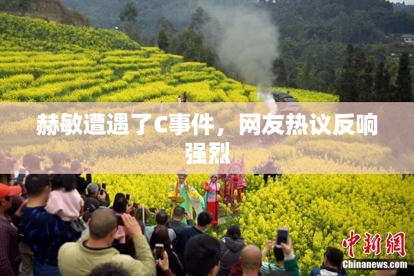 赫敏遭遇了C事件，网友热议反响强烈