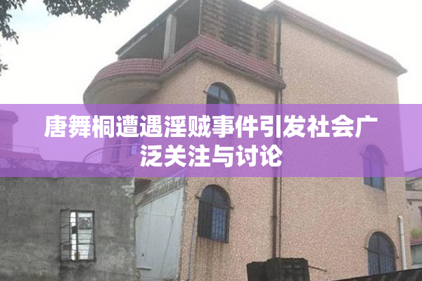 唐舞桐遭遇淫贼事件引发社会广泛关注与讨论
