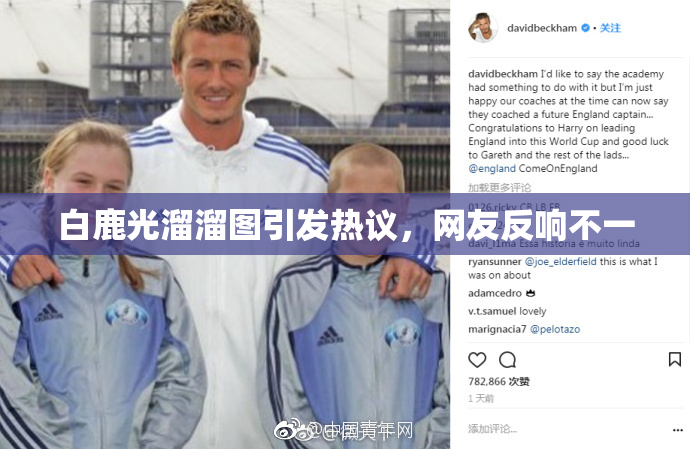 白鹿光溜溜图引发热议，网友反响不一