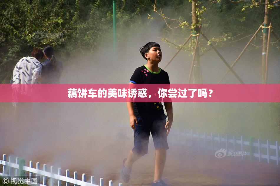 藕饼车的美味诱惑，你尝过了吗？