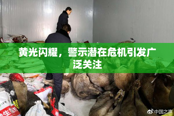 黄光闪耀，警示潜在危机引发广泛关注