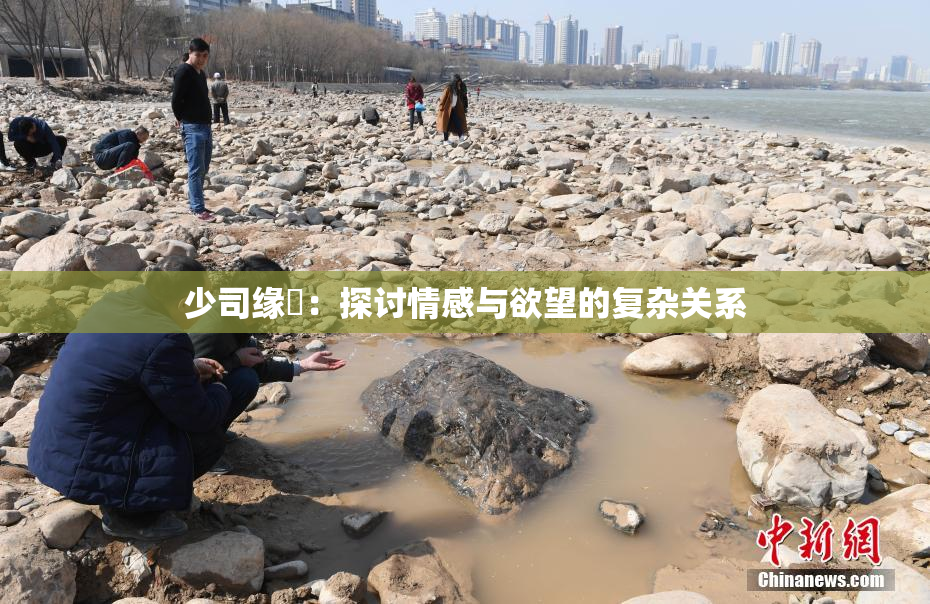 少司缘婬：探讨情感与欲望的复杂关系