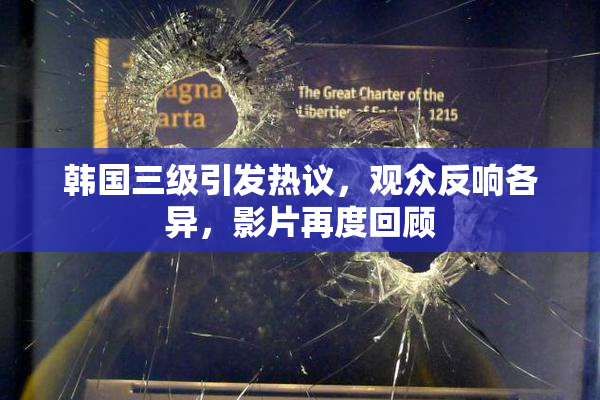 韩国三级引发热议，观众反响各异，影片再度回顾