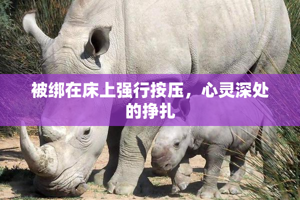 被绑在床上强行按压，心灵深处的挣扎