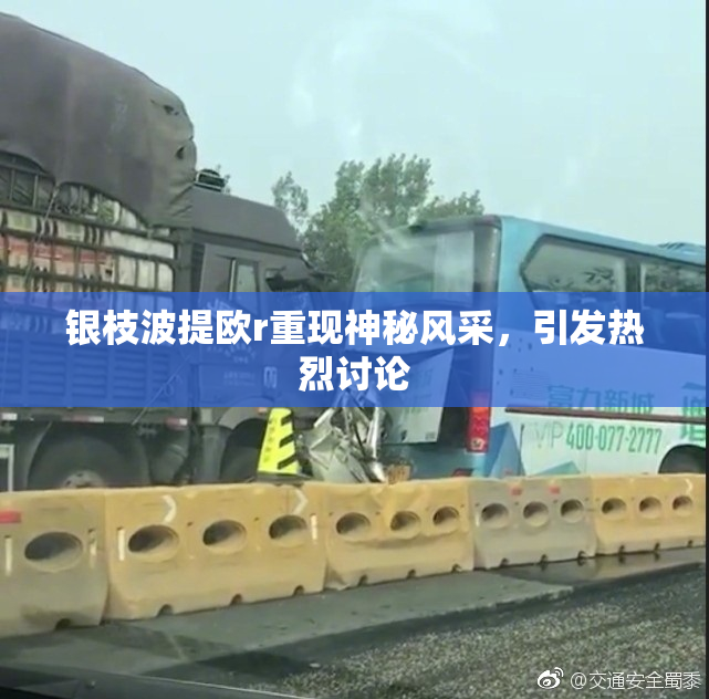 银枝波提欧r重现神秘风采，引发热烈讨论