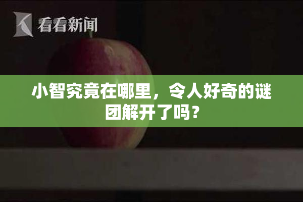 小智究竟在哪里，令人好奇的谜团解开了吗？