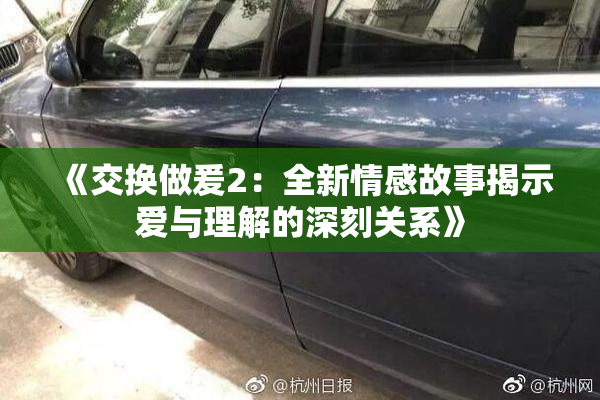 《交换做爰2：全新情感故事揭示爱与理解的深刻关系》