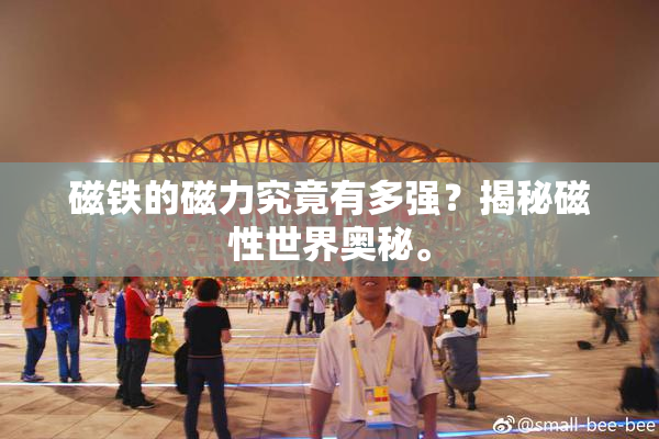 磁铁的磁力究竟有多强？揭秘磁性世界奥秘。