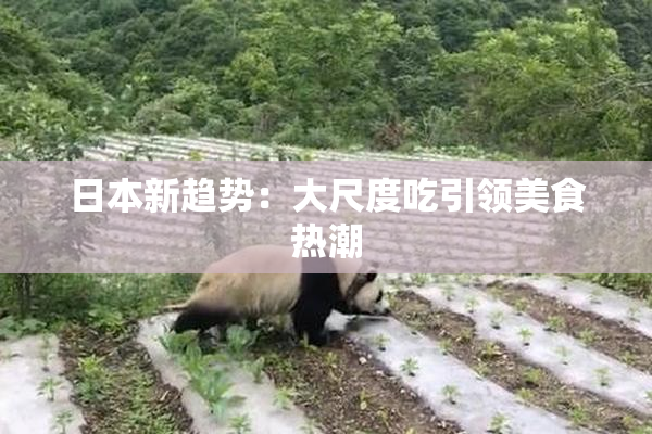 日本新趋势：大尺度吃引领美食热潮
