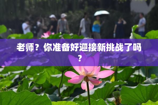 老师？你准备好迎接新挑战了吗？
