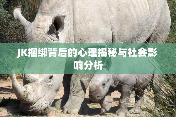 JK捆绑背后的心理揭秘与社会影响分析