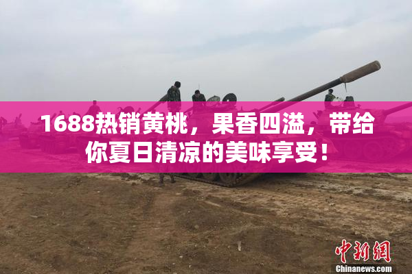 1688热销黄桃，果香四溢，带给你夏日清凉的美味享受！