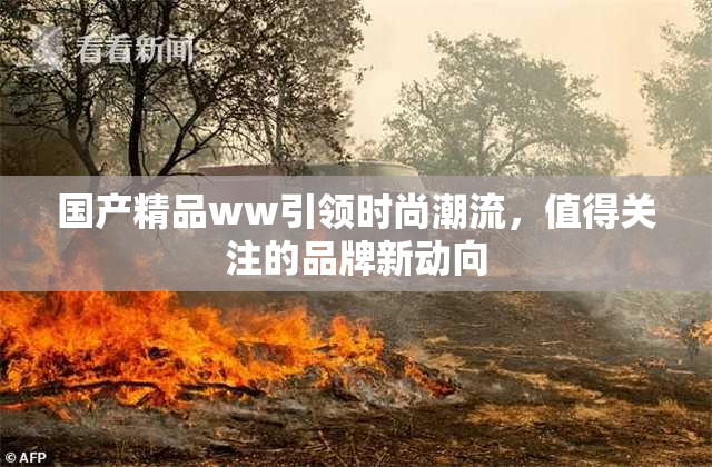 国产精品ww引领时尚潮流，值得关注的品牌新动向