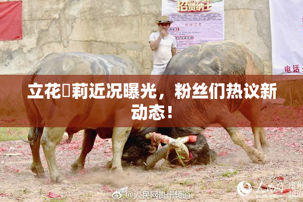 立花瑠莉近况曝光，粉丝们热议新动态！